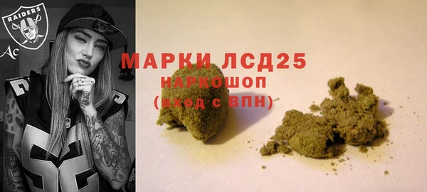 шишки Михайловск