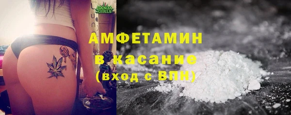 шишки Михайловск