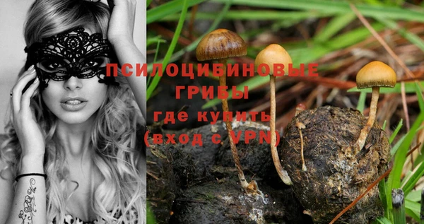 ALPHA-PVP Медногорск