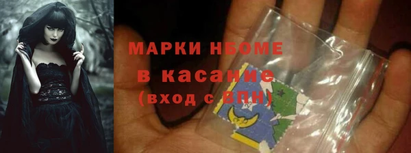 шишки Михайловск