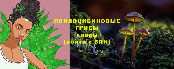 мяу мяу мука Михайловка