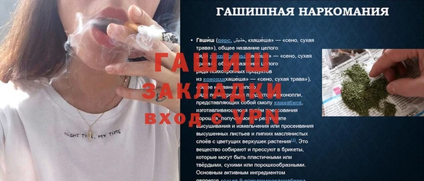 шишки Михайловск