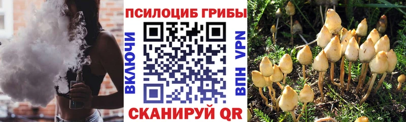 Псилоцибиновые грибы прущие грибы  купить закладку  KRAKEN сайт  Шенкурск 